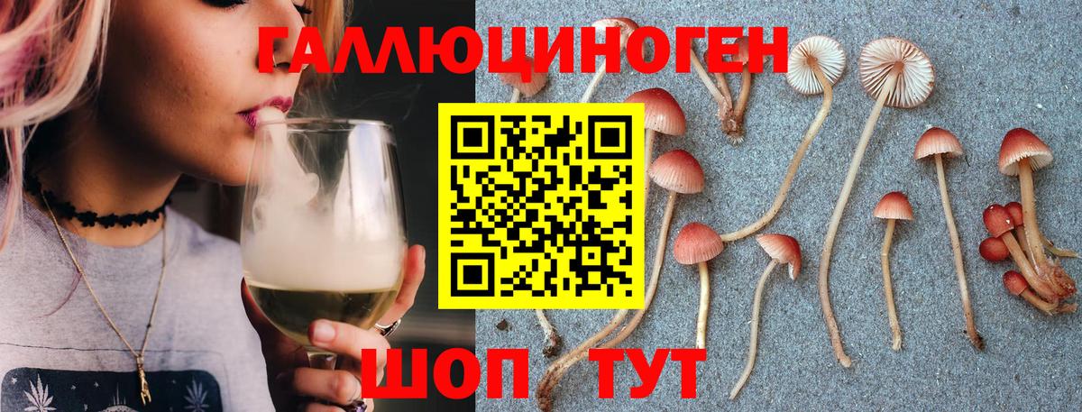 Галлюциногенные грибы Cubensis  Вход с VPN  Славгород  Галлюциногенные грибы мицелий 