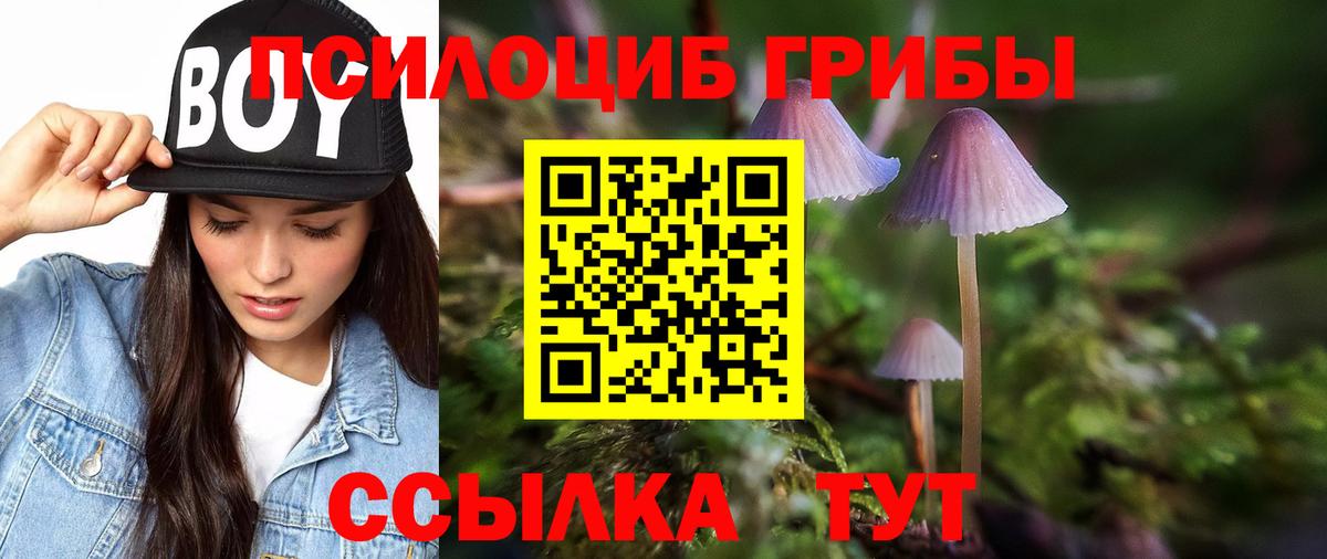 Псилоцибиновые грибы мицелий Славгород