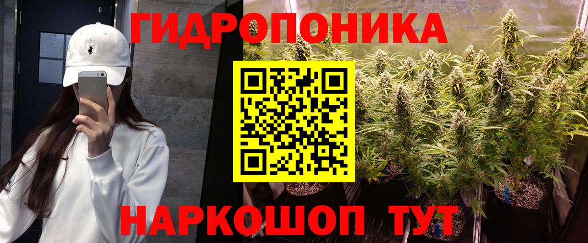 Шишки марихуана LSD WEED  Конопля Ganja  Вход с VPN  Славгород  Каннабис гибрид 